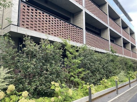 Near Kanon Shibuya's home?